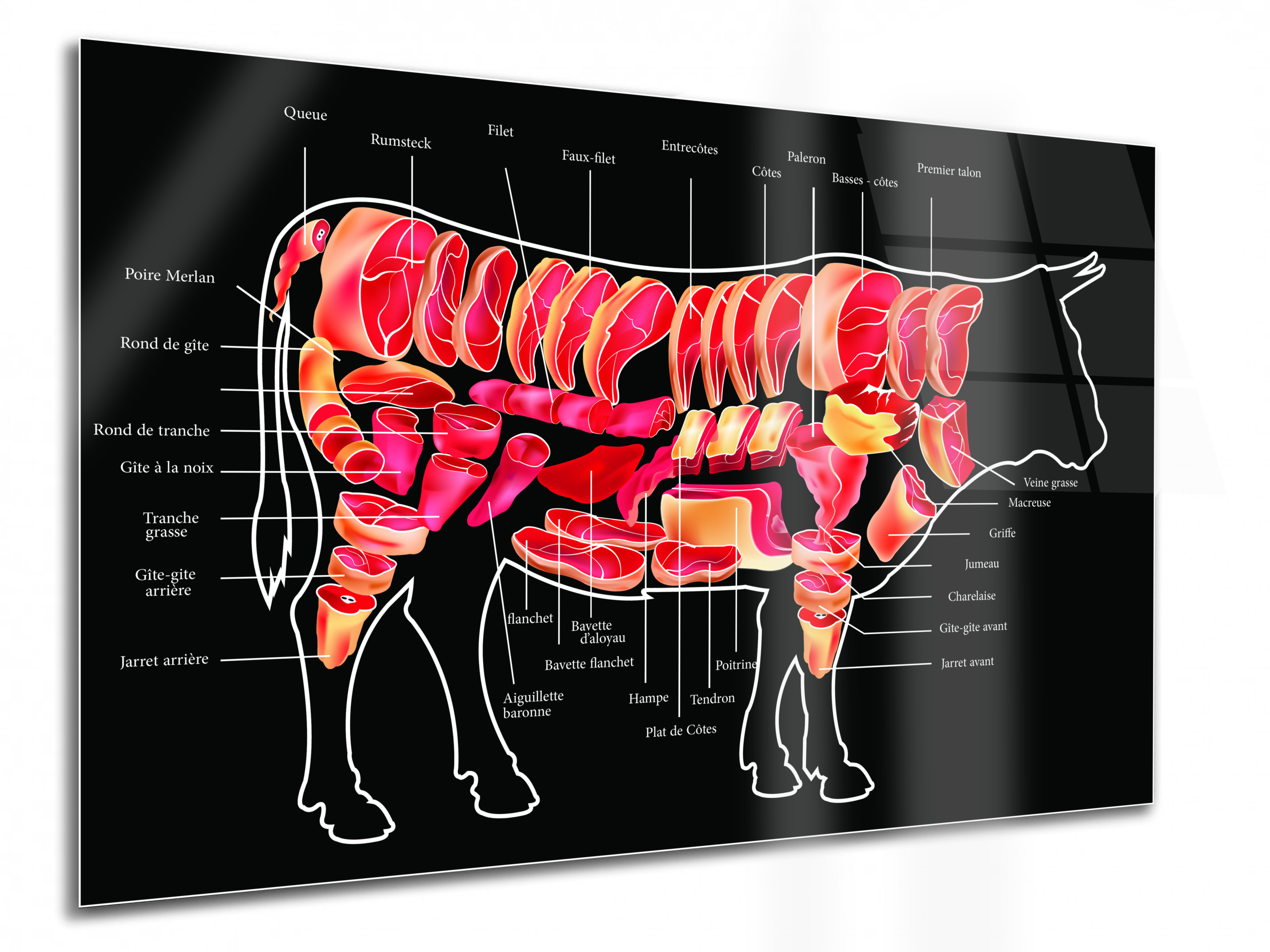 nemateur 4 Tableau Décoration Boucherie - Anatomie du Bœuf