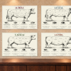 Lot culinaire Collection Bœuf, Veau, Agneau et Porc — 60 × 40 cm par tableau — Plexiglas — vue de l’ensemble Lot culinaire Collection Bœuf, Veau, Agneau et Porc — 60 × 40 cm par tableau — Plexiglas — vue de l’ensemble. Mise en situation sur un mur en pierre claire.