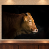Tableau portrait bovin